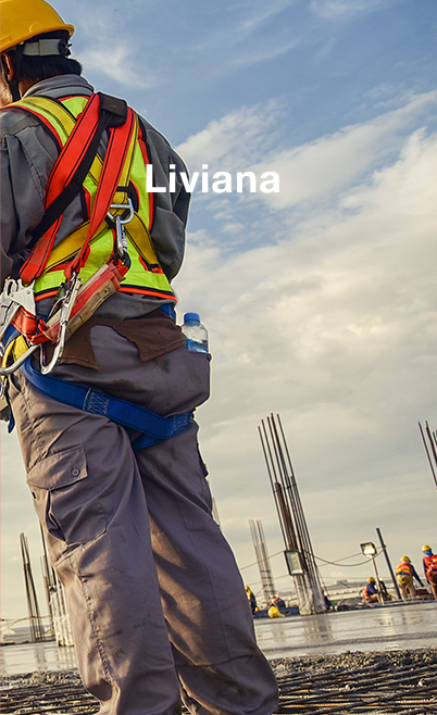 proy-liviana