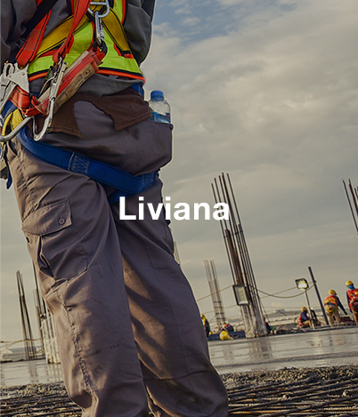 proy-liviana